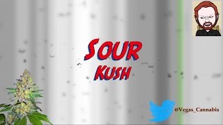 Sour Kush Strain Information / Review