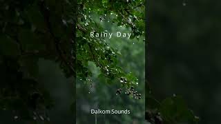 ☔️ #rainy #rainyday #dalkomsounds