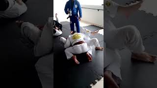 Seminário FEU BJJ,  Macaco Gold tem Jundiai 2022