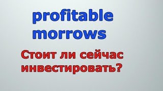 profitable morrows стоит ли сейчас инвестировать