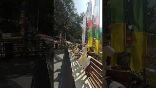 shorts।short videos।viral।viral videos।my first vlog।sangita. avijit