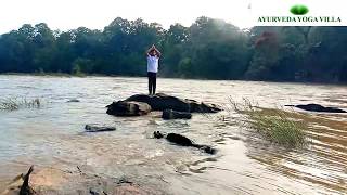 Be with Nature | Yoga Retreat | Ayurveda Yoga Villa