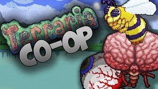 Terraria CO-OP cu NeRT S2 - Eye of Cthulhu si Casa | Episodul 2