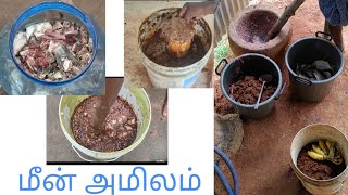 மீன் அமிலம் தயாரிக்கும் முறை #organicfarming #organicfertilizer #iyarkaivivasayam