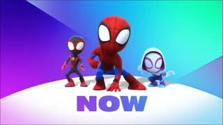 Disney Junior USA - Now - Spidey and His Amazing Friends