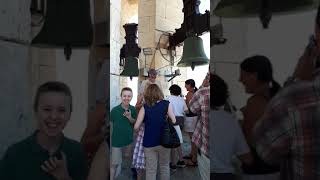 Campana Catedral de Cádiz asusta a turistas