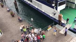 Limone Sul Garda ferry