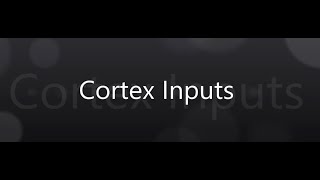 Cortex Inputs