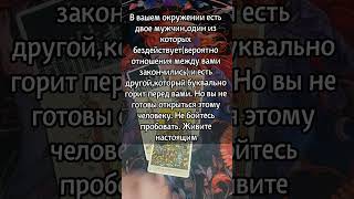 #reels #shots #tarotreading #таро #тароонлайн #тарорасклады #tarotcards