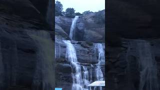 Courtallam water Falls | Tamilnadu | India #youtubeshorts #waterfall