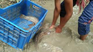 Best fishing video.. Very small boy fishing big fish.