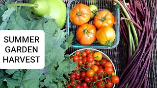 Early summer garden harvest - Picking vegetables | part 2