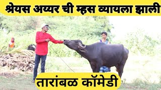 श्रेयस अय्यर ची गाई  व्ययला झाली तिला  गुदीगुदी पॉकपॉक  इंजेक्शन  दिले तारांबळ गावाकडची  कॉमेडी