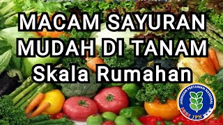 Sayuran yang Mudah di Tanam Dan Gampang Skala Rumahan @kangalijpn7923 PETANI MILENIAL