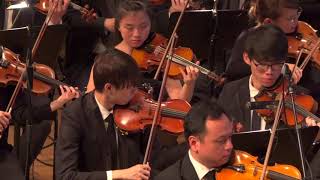 P.Tchaikovsky: The Swan Lake / Ponte Orchestra (Excerpt 2)