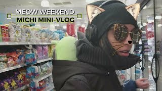 Meow Weekend | Michi Mini-Vlog