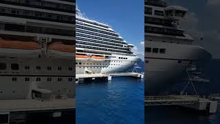 carnival vista#viral #shortsvideo #youtubeshorts #youtube #cruiseship