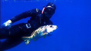 Spearfishing Aceh | nembak ikan di air jernih