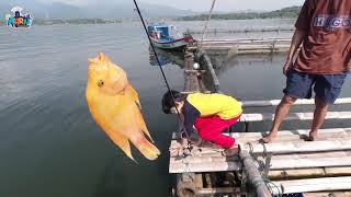 Strike Guys || Airriu Mancing di Keramba Budidaya Ikan Nila