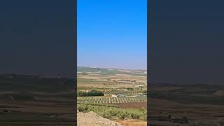 Vistas de la #campiñacordobesa en #verano. Muy cerquita de #montalban #cordoba #andalusiaspain