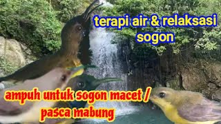 suara terapi air untuk relaksasi sogon | sogon macet sogon bahan pasti langsung bunyi lagi