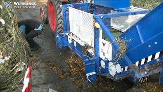 Bio Hopper XL cleaning out tomato leaf in greenhouse during crop rotation season