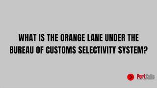 What is the Orange Lane Under the Bureau of Customs Selectivity System?