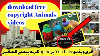 Download free copyright videos/how to download free copyright videos