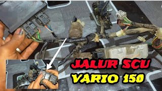 jalur SCU pada sepeda motor vario 150 keyless dan fungsinya