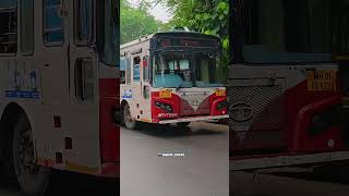 BEST TATA ACGL LPO BUS #bestbus #mumbaibestbuses #mumbai #buspotting #ytshorts