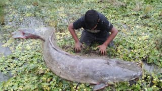 Best unique hand big fish catching. The small boy catching.Best fishing video