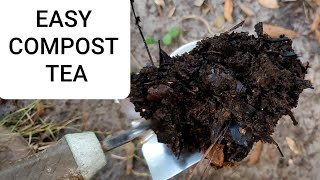 How to make compost tea at home - easy, free, and organic