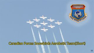 Canadian Forces Snowbirds Aerobatic Team(Short)