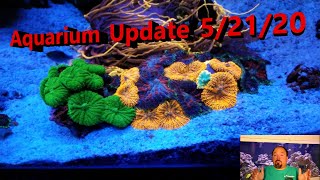 Aquarium Update 5/21/20