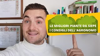 PIANTE DA SIEPE MIGLIORI PER IL GIARDINO: I CONSIGLI DELL'AGRONOMO