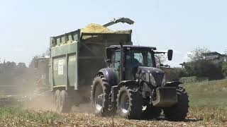 Mais 2023 LU  Hannes Hauptmann  Claas Jaguar 970 & Orbis 750 mit verschiedenen Abfahrern in Bezirk S