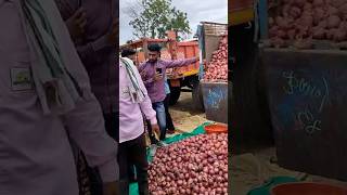 Nashik Onion Market 4100/- 9/9/2024