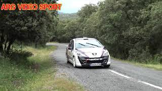 II Rallysprint de Cenicientos 2018