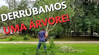 MOTOSERRA EM AÇÃO! 🌳 Projeto Agrofloresta 🌳