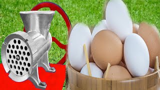 Eggs VS Meat Grinder Experiment