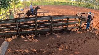 Go Pro Team Roping