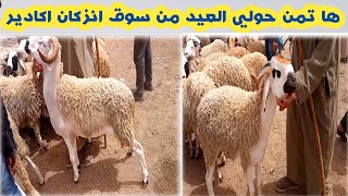 تبارك الله🚨تمن حولي العيد  2022/6/21 سوق التلاتاء انزگان اكادير حولي صردي