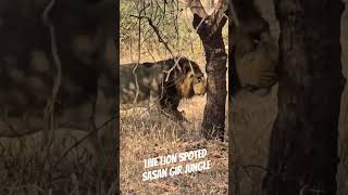 #viral #gujrat #sasangir #trending ##viralreels ##vlogger #sasangirwildlife #jungle #travelvlog