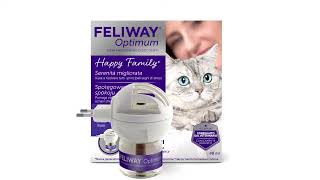 FELIWAY Optimum - nowy kompleks kocich feromonów - prezentacja produktu