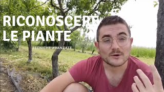 RICONOSCERE LE PIANTE🔍🌴🌺-TECNICHE AVANZATE PER RICONOSCERE E RICORDARE I NOMI DI PIANTE/FIORI/FOGLIE