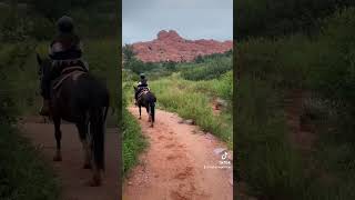 Mini vacation vlog part 2 ✌🏼🐴 Follow for more content 🌄 #vacation #travel #ColoradoSprings #trip