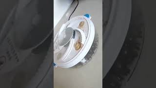 A Device To Catch House Flies, What Do You Think?