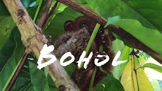 Bohol - Erlebnisse auf der philippinischen Insel