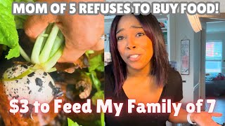 I’M NOT BUYING GROCERIES!| LIVING OFF WHAT WE HAVE| GARDEN TO TABLE COOKING! #farmtotable #budgeting