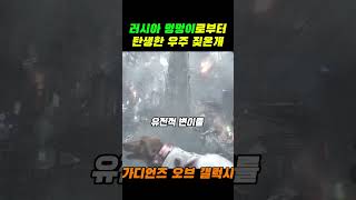 가디온즈 오브 갤럭시 코스모 강이지의 기원은? #마블 #mcu